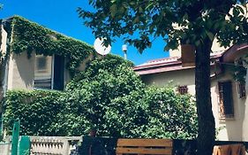 Birdhouse Rooms