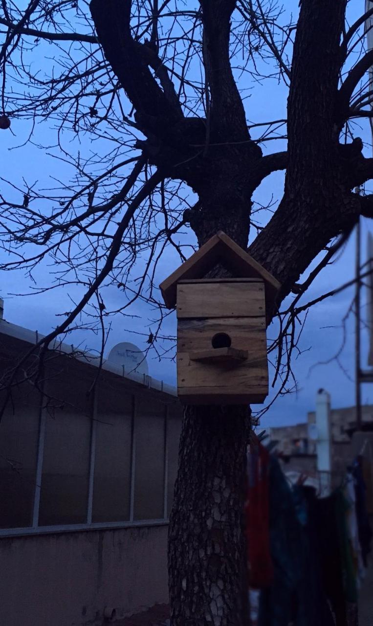 Birdhouse Rooms Тбилиси Экстерьер фото